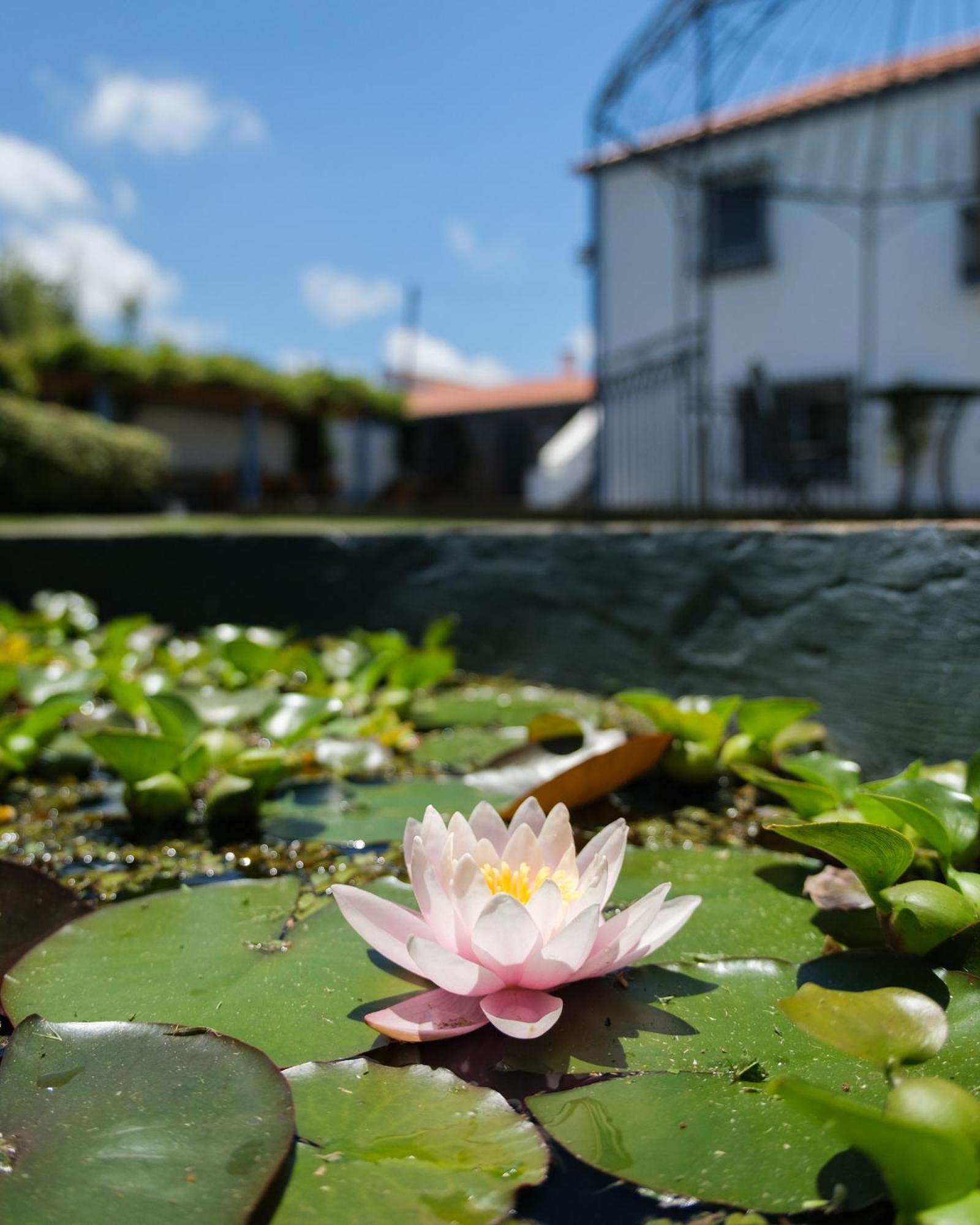 Quinta Morazes Casas De Campo Ribeira Grande Exterior photo